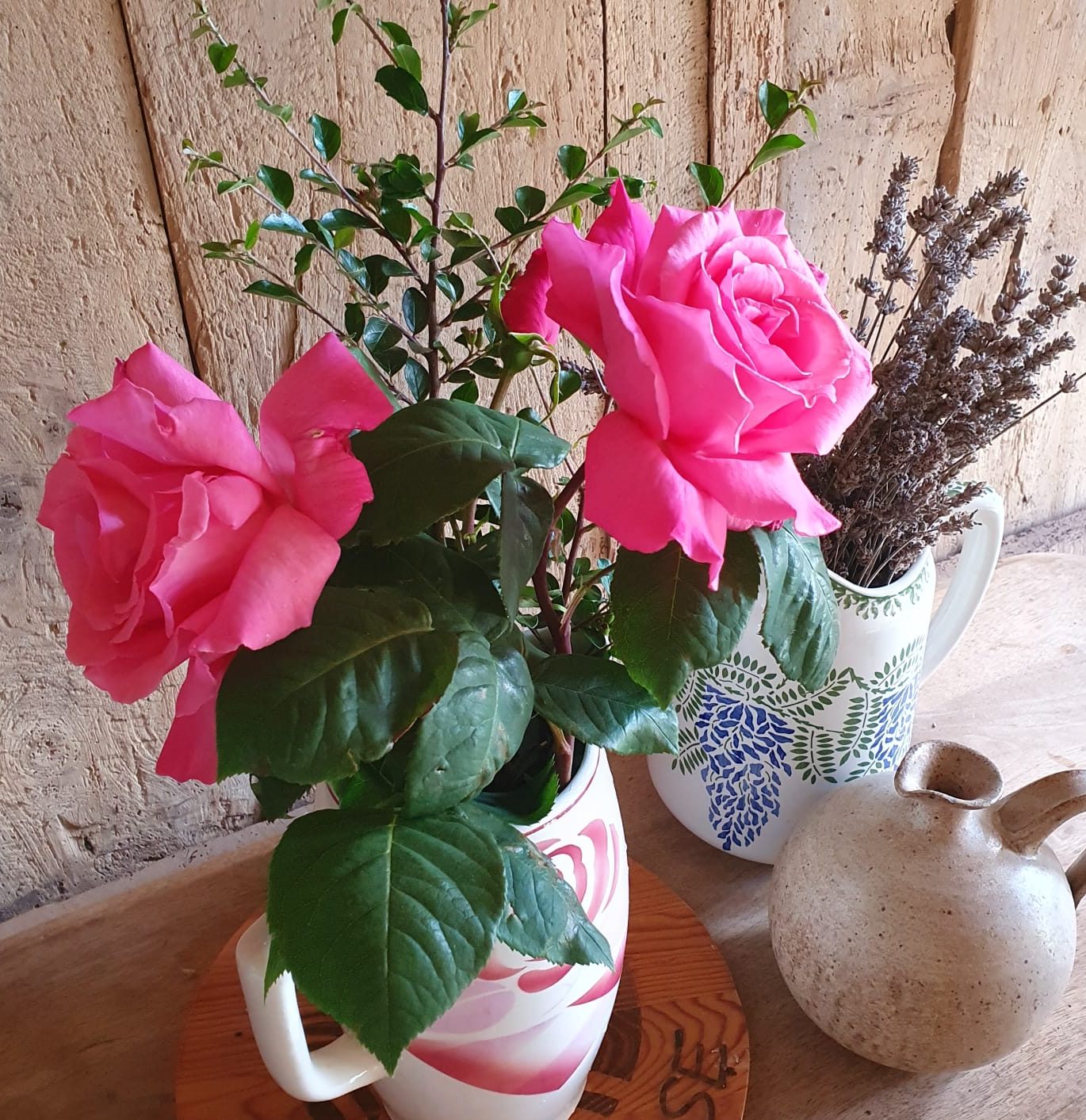 rose odorante